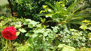 Apartment Val Crikvenica