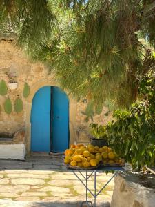 La Casa del Nespolo - Exclusive Country Suites - Seaview Pool & Self Check-in