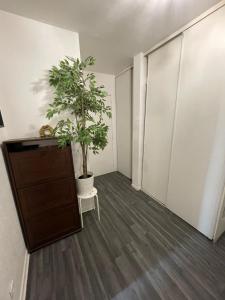 Appartements Appart confort T3 : Appartement 1 Chambre
