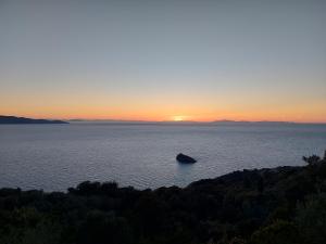 WildSunset