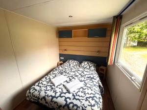 B&B / Chambres d'hotes Les Pinots d'Alsace - 3 bungalows climatises avec TV - Proche Europa Park : photos des chambres