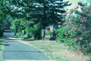 Fenyőmag Apartmanház