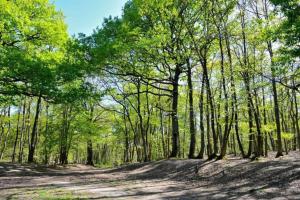 Appartements Charmant T5 en pleine nature a Viroflay-Versailles : Appartement 3 Chambres