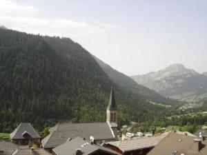 Appartements Studio pour 3 a Chatel, proche remontees mecaniques et centre - FR-1-676-110 : photos des chambres