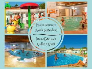B&B / Chambres d'hotes Les Pinots d'Alsace - 3 bungalows climatises avec TV - Proche Europa Park : photos des chambres