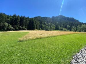 Iris 1 - Petit T3 proche du Linga