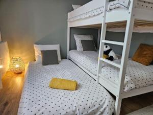 Appartements Coeur St Aignan - Zoo de Beauval : photos des chambres