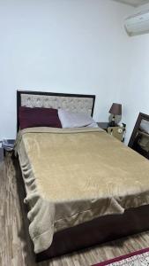 Luxury apartment fully furnished