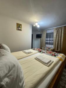 La Lenuța În Susani