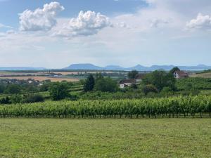 Berkenyés Házikó - Dél-Balaton