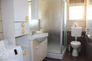 Apartment Volich