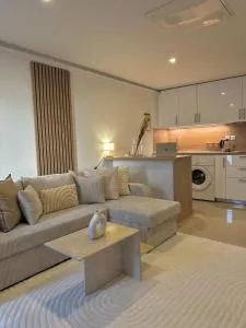 Studio Moderne et Spacieux - 德拉韦伊