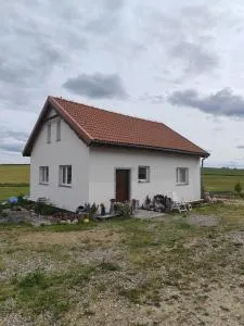 Kaprys-ek - Bartoszyce- Galiny