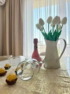 Triumph apartment - Rudnik