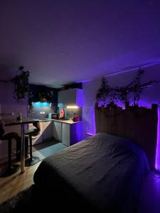 Appartements Au Cosy Studio I proche Europapark : photos des chambres