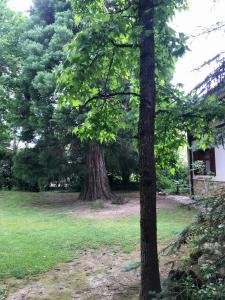 Caserio Arrigorri excelente ubicación jardín con barbacoa 15 plazas