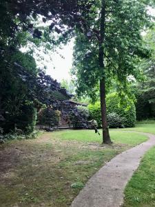 Caserio Arrigorri excelente ubicación jardín con barbacoa 15 plazas