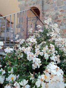 Appartamento Olivella