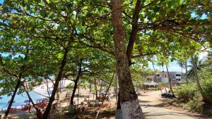 Vento e Sal - Praia da Concha