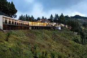 Parador de Cruz de Tejeda - El Majuelo