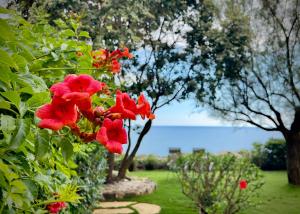 Seaside Villa with private garden