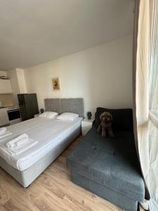 Апартаменти за гости "Екатерина" guest apartments "Ekaterina"