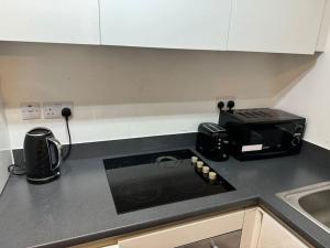 Pond View Spacious Apartment