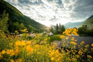 Glamping Gozdna Jasa - Tamaroz