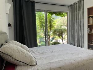 Appartements Emeraude 2.0 : photos des chambres