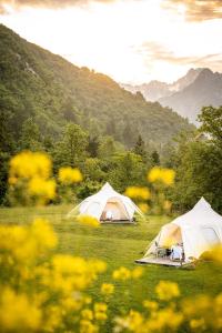 Glamping Gozdna Jasa
