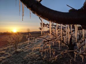 Ferienhof Schlössle