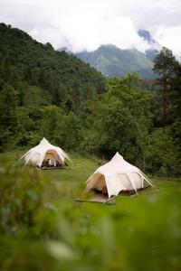 Glamping Gozdna Jasa