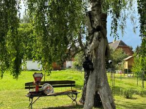 Ferienhaus Barlin 2
