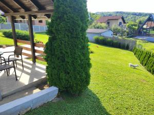 Garden 022