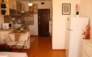 Garsoniera Saturn IRIS