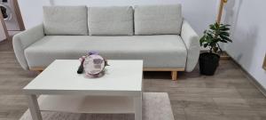 Apartament Karina