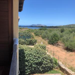 Gabbiano house