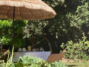 B&B / Chambres d'hotes Douceur des Pins : photos des chambres