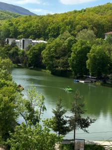 Village apartments Polyana