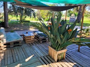 Maisons d'hotes gites du mas Donat : photos des chambres