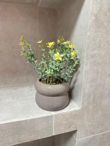 Village apartments Polyana