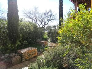 Appartements T2 36 m2, RdC de villa, clim, gd jardin clos, animx ok, quartier Mt Faron tres calme, wifi, parking : Appartement 1 Chambre