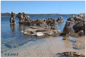 Villas U Caseddu Di Francescu, piscine privee, plage a 10mins : photos des chambres