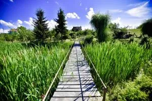 Garden of Eden - Paučje