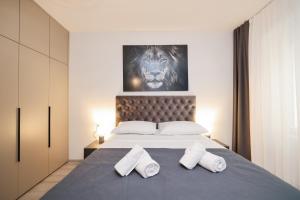 Classy apartments in city centar