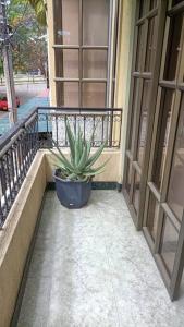 apartment in neiva goliat 102