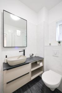 Classy apartments in city centar