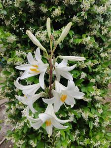 Katerina's Countryside and Sea House