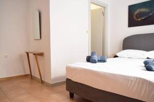 Cozy city center appartment