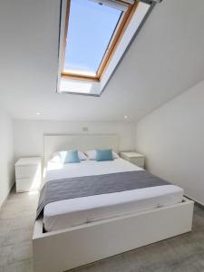 Apartments Miovic